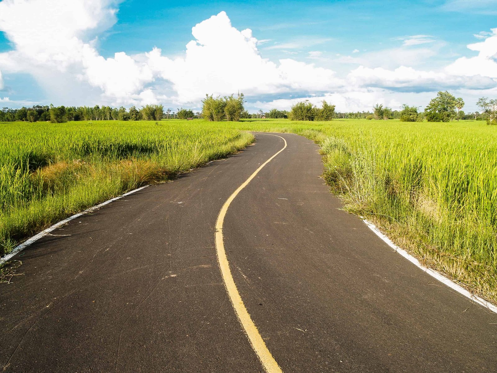You are currently viewing Driving on Country Roads UK